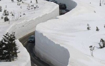 Snow Removal Update