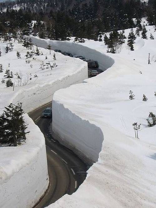 Snow Removal Update
